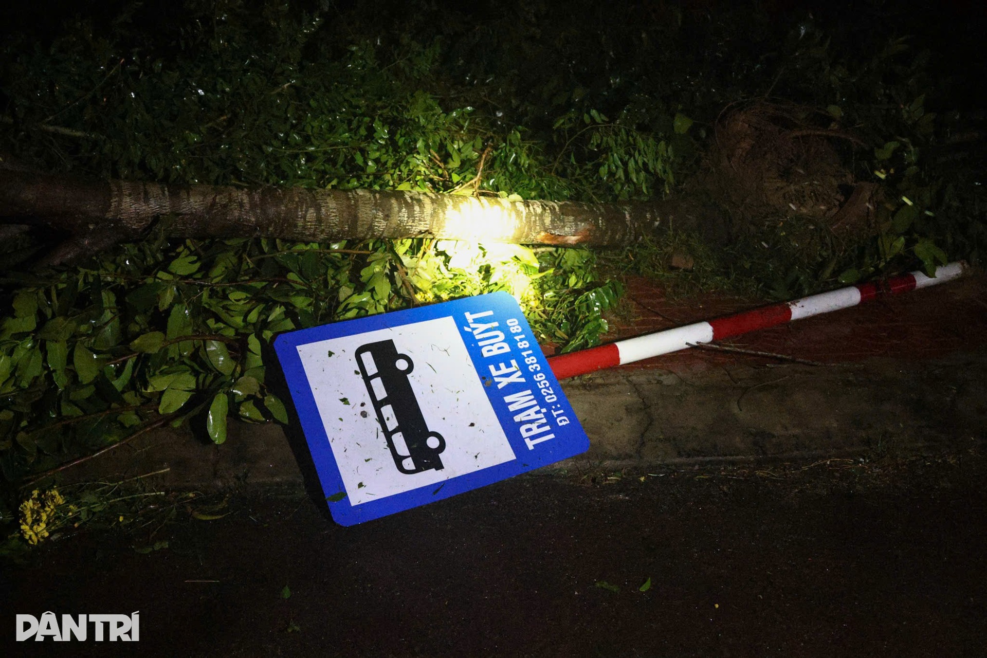 Bão Kalmaegi tàn phá Gia Lai: Làng chài tan hoang, nhiều nhà sập đổ - 5 Bão Kalmaegi tàn phá Gia Lai: Làng chài tan hoang, nhiều nhà sập đổ - 5