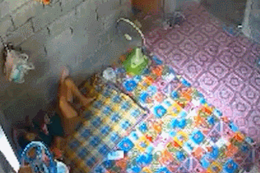 Kinh hãi khoảnh khắc rắn hổ mang hung hãn lao về phía người phụ nữ