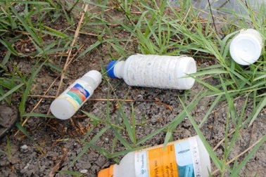 Bốn học sinh lớp 5 thách đố nhau... uống thuốc trừ sâu