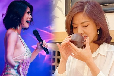 Hồ Lệ Thu: Tuổi 48 rạng rỡ, tuyên bố không yêu nữa sau sóng gió hôn nhân