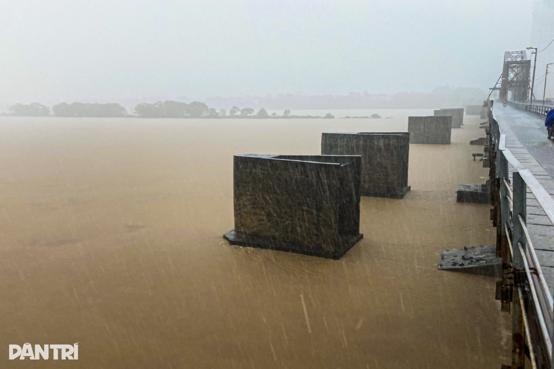 Nước sông Hồng lên cao, cô lập bãi giữa, ngập trắng hoa màu - 3