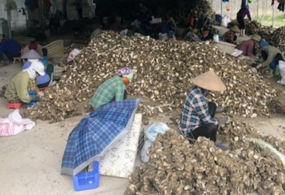 Điểm nóng vùng dịch: Giá cả không tăng, hàng Tết bán chậm - 1 Điểm nóng vùng dịch: Giá cả không tăng, hàng Tết bán chậm - 1