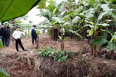 Một buổi sáng phát hiện 3 thi thể trôi trên sông