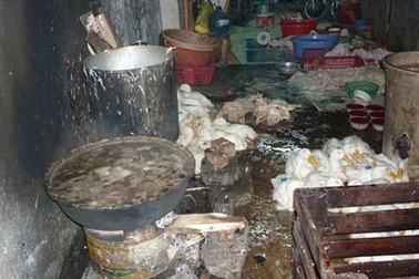 Rùng rợn giết mổ gia cầm lậu 