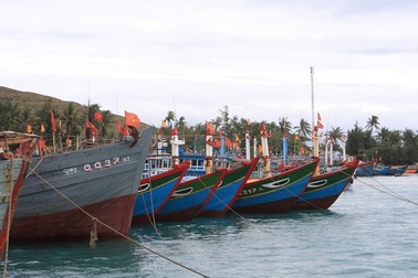 Quảng Ngãi: Thí điểm thành lập nghiệp đoàn đánh cá trên biển