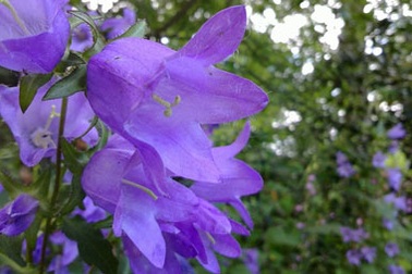 Nokia N9 nổi bật với âm thanh vòm Dolby