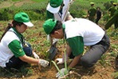 Cùng Honda giữ mãi màu xanh Việt Nam trong khuôn khổ dự án AR-CDM