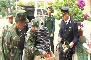 Bắt giữ 55 kg pháo nổ hình lựu đạn