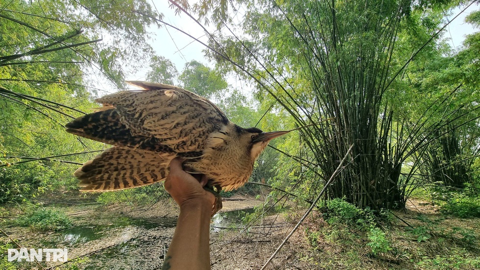 Anh thanh niên cứu chim chóc, động vật bị bỏ rơi: Họ bảo tôi điên - 4