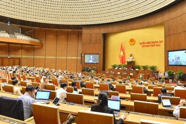 Tỉnh tự quyết chuyển đất lúa, đất rừng: Cần tăng thanh tra, gắn trách nhiệm