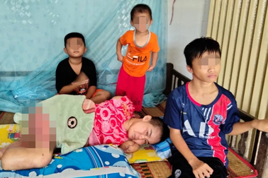 Người mẹ nghèo cụt tứ chi khi hái xoài cho con được giúp hơn 240 triệu đồng