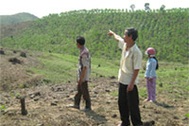 Nhiều khuất tất trong dự án trồng rừng 661