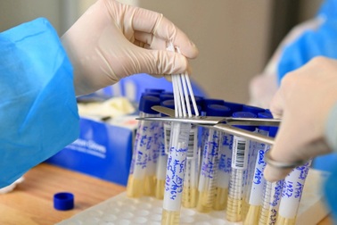 Giáo viên thể dục mắc Covid-19, gần 30 thành viên nhà trường trở thành F1