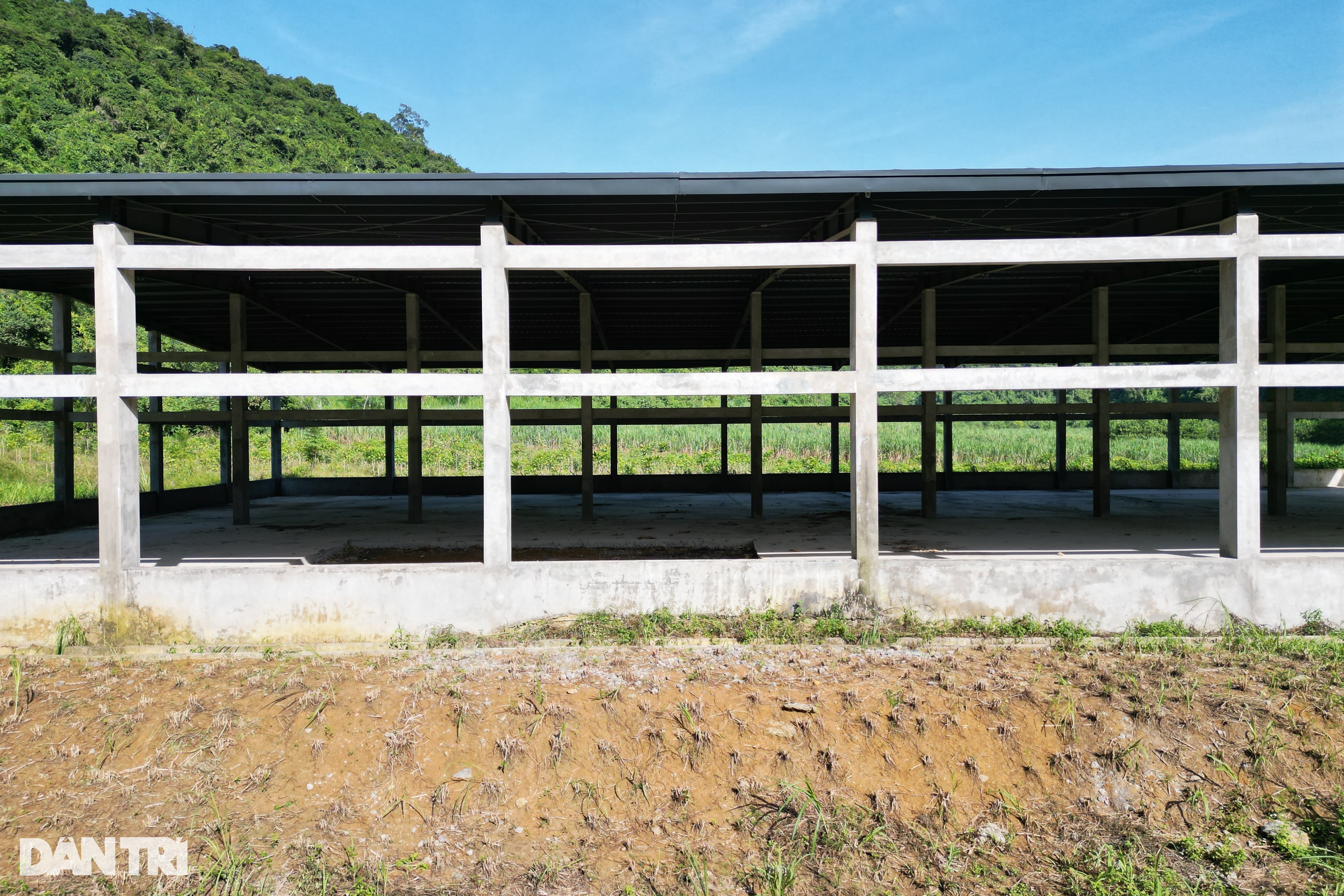 Khu nhà kiên cố rộng cả nghìn m2 bị bỏ hoang giữa núi rừng - 3 Khu nhà kiên cố rộng cả nghìn m2 bị bỏ hoang giữa núi rừng - 3
