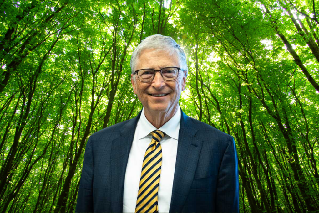 ‘Bosbaden’: een trend die de elite en miljardairs gek maakt - 2 “Tắm rừng”: Xu hướng khiến giới thượng lưu, tỷ phú say mê - 2