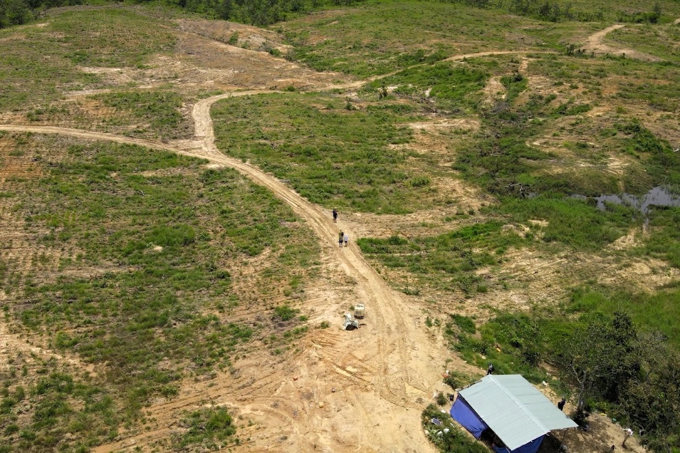 Hơn 34 ha rừng phòng hộ bị lấn chiếm: Khởi tố vụ án hủy hoại gần 12 ha rừng - 1.jpeg phá rừng ở Gia Lai -2021-ảnh CTV