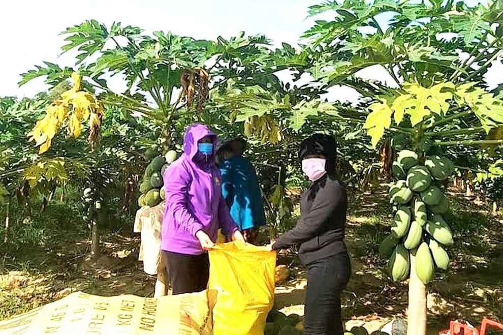 Bà con ở đâu ở yên đó, tiêu thụ nông sản đã có chúng tôi lo - 4 Bà con ở đâu ở yên đó, tiêu thụ nông sản đã có chúng tôi lo - 4