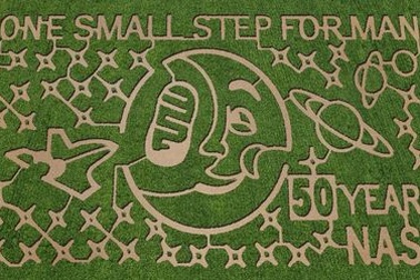 Lạc vào mê cung vòng tròn trên cánh đồng của NASA