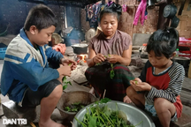 Hai đứa trẻ sống lay lắt bên bà nội khuyết tật mắt, bố bạo bệnh