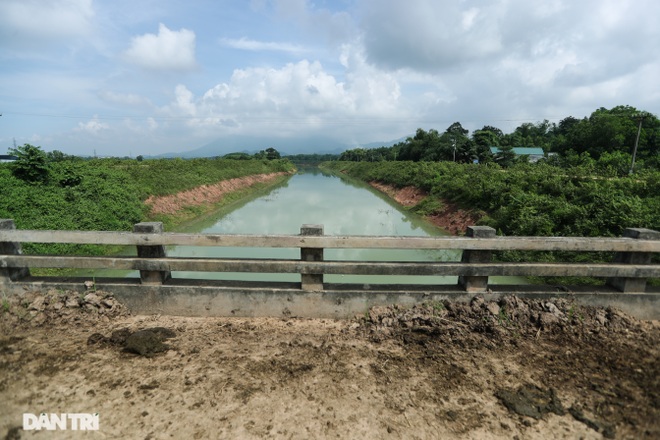 Đàn trâu nhởn nhơ rũ chất thải trên kênh dẫn vào nguồn nước sạch Hà Nội - 8 Đàn trâu nhởn nhơ rũ chất thải trên kênh dẫn vào nguồn nước sạch Hà Nội - 8