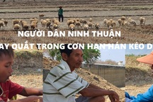 Người dân Ninh Thuận quay quắt trong cơn hạn hán kéo dài