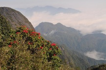 Khám phá Vườn quốc gia Hoàng Liên