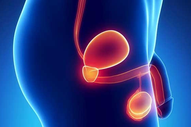 Tiên lượng điều trị ung thư tinh hoàn giai đoạn sớm như thế nào?