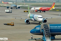 Cả đàn chó thả rông trong khu bay đe dọa nghiêm trọng an toàn hàng không