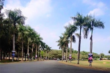 280 tay gôn trên toàn quốc đã sẵn sàng khởi tranh cúp TPHCM mở rộng