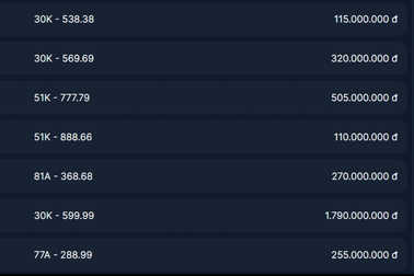 Biển tứ quý 9 Hà Nội trúng đấu giá 1,79 tỷ đồng