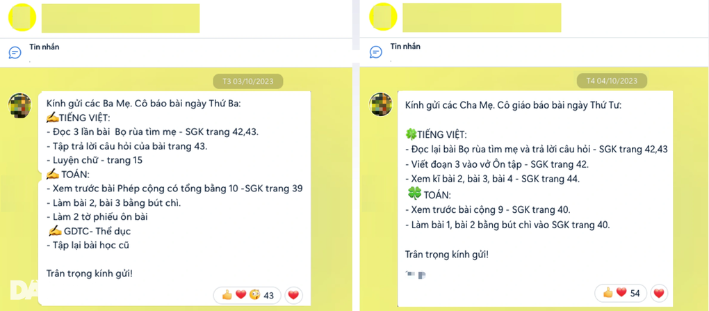 Cấm giao bài tập về nhà cho học sinh, cô giáo lách luật giao cho bố mẹ - 3 Cấm giao bài tập về nhà cho học sinh, cô giáo lách luật giao cho bố mẹ - 3