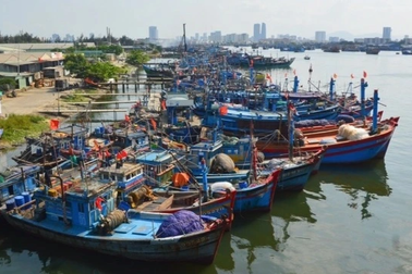 Bộ Nông nghiệp đang "chạy nước rút" gỡ thẻ vàng cho thủy sản