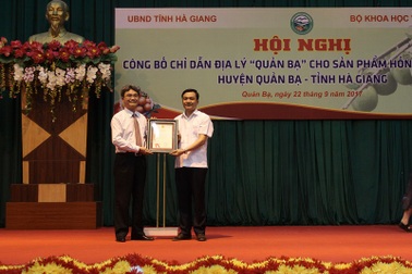 Công bố Chỉ dẫn địa lý Hồng không hạt Quản Bạ