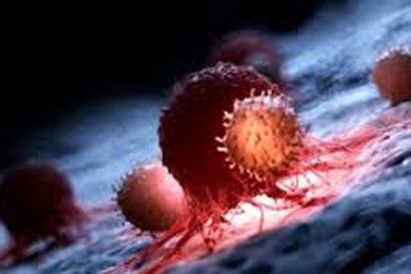 Thuốc giảm cân lorcaserin tăng nguy cơ gây ung thư