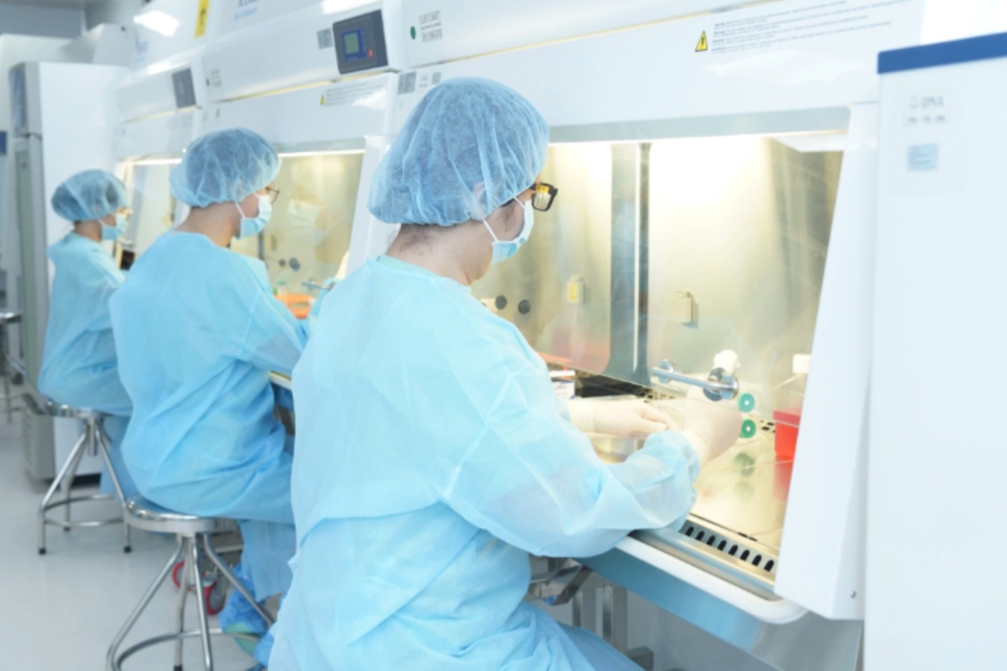 កោសិកាដើមបើកឱកាសជាច្រើនក្នុងឱសថទំនើប - ៣ Tế bào gốc mở ra nhiều triển vọng trong y học hiện đại - 3