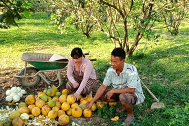 Phát huy vai trò phụ nữ từ dòng vốn tín dụng chính sách ở Đồng Nai