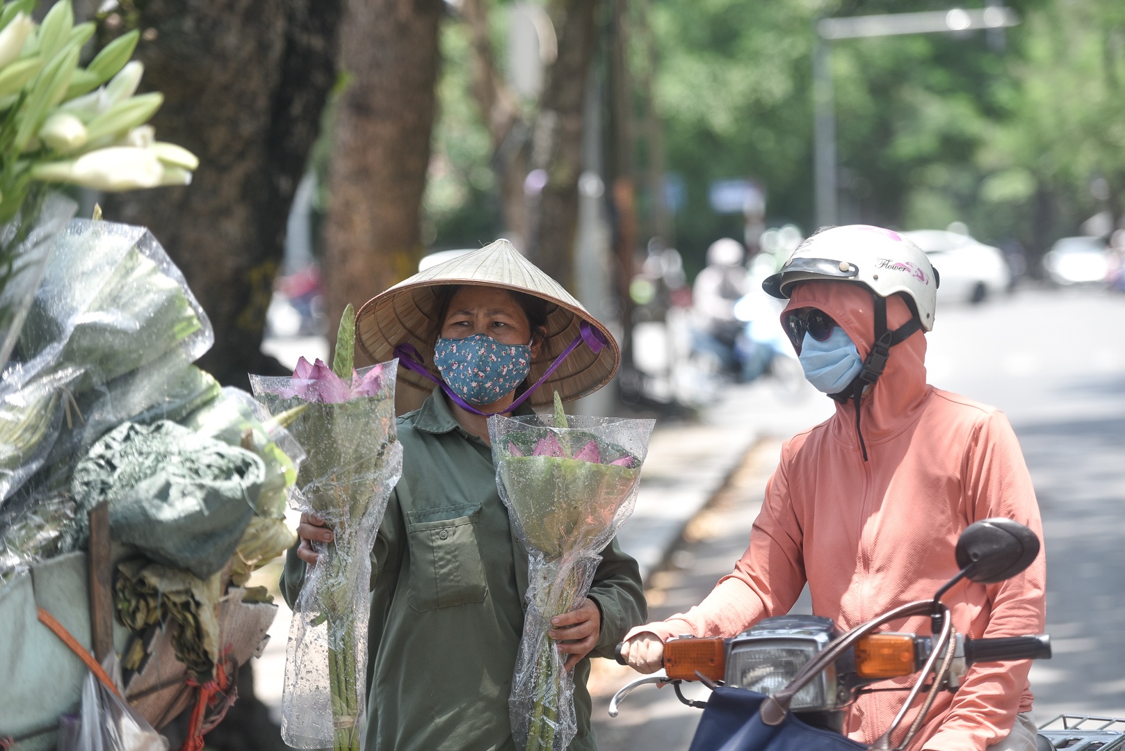 Hà Nội: Ngẩn ngơ với sắc sen đầu mùa xuống phố - 14 Hà Nội: Ngẩn ngơ với sắc sen đầu mùa xuống phố - 14