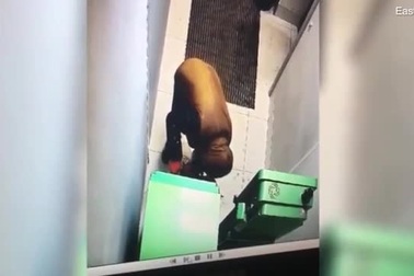 Kết thảm cho kẻ đặt mìn phá cây ATM trộm tiền