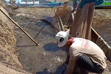 Xem tái hiện chụp đìa bắt cá ở U Minh Hạ, Cà Mau