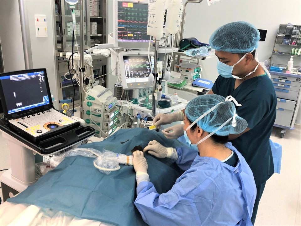 Vinmec công bố nghiên cứu đột phá về giảm đau trong mổ tim hở trẻ em - 1 Vinmec công bố nghiên cứu đột phá về giảm đau trong mổ tim hở trẻ em - 1