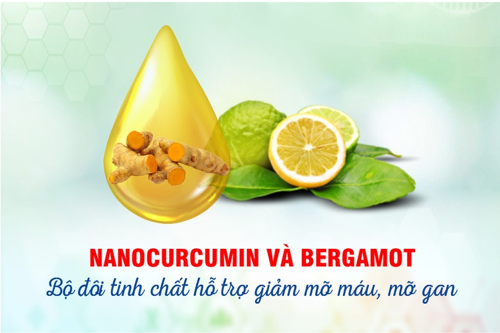 Bộ đôi tinh chất từ châu Âu hỗ trợ giảm mỡ máu, mỡ gan - 1 Bộ đôi tinh chất từ châu Âu hỗ trợ giảm mỡ máu, mỡ gan - 1