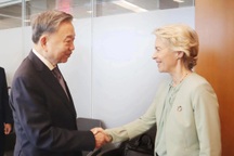 Tổng Bí thư, Chủ tịch nước Tô Lâm gặp Tổng thống Ukraine và Chủ tịch EC