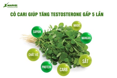 Cỏ Cari Mỹ - Thần dược quý cho sức khỏe sinh lý nam giới