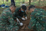 Phát hiện 2 hài cốt liệt sĩ ở rừng tràm, nghi là bộ đội hy sinh tại Lào