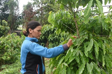 “Cứ nhận trợ cấp mãi thấy có lỗi với lương tâm lắm!”