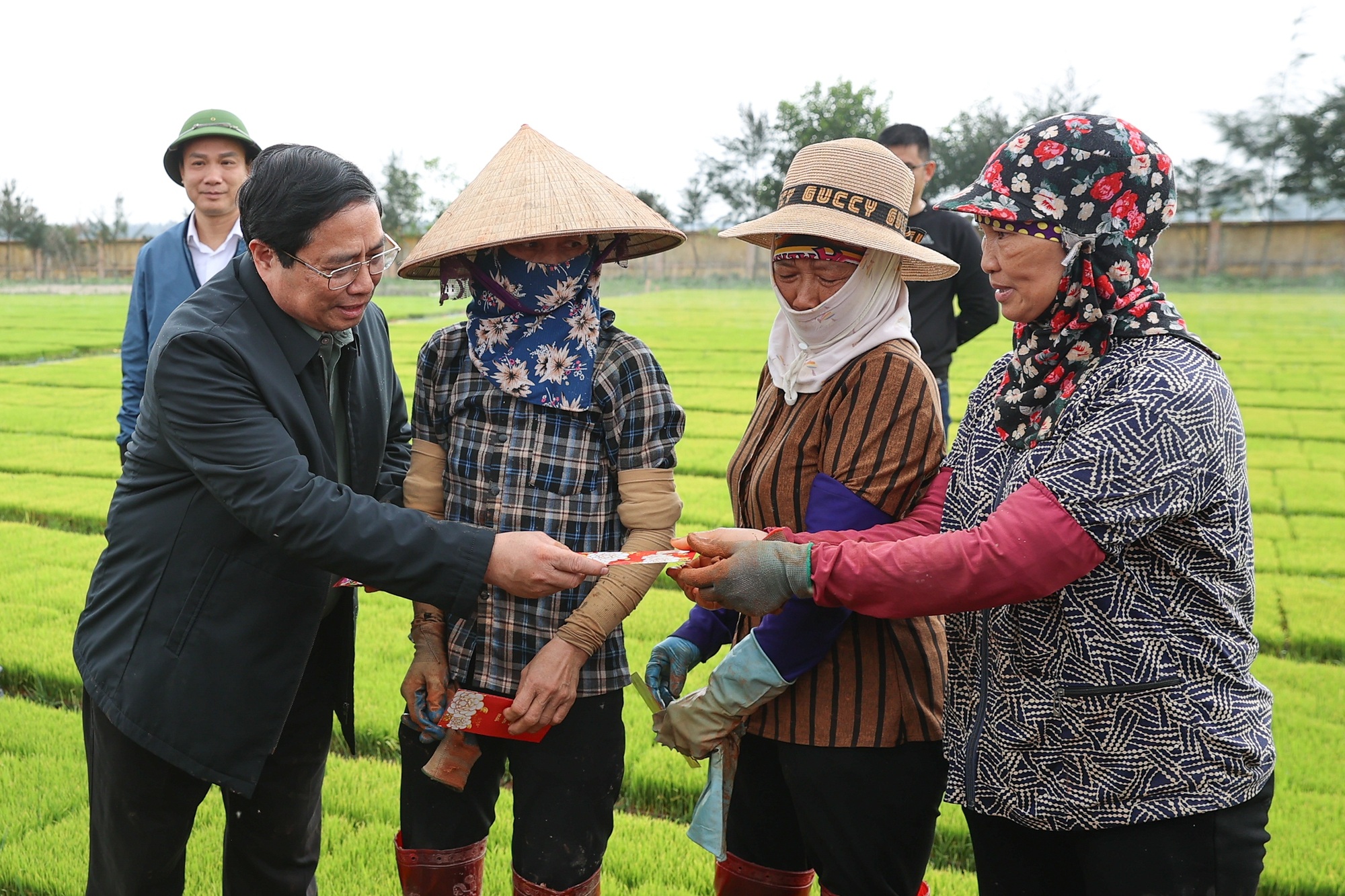 The Prime Minister went to the fields to plant rice and harvest carrots with farmers - 2