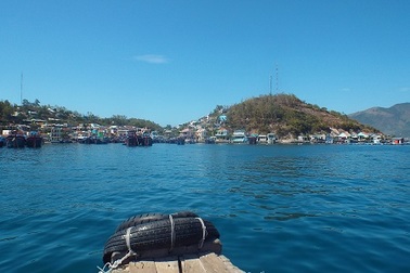 Muỗi vằn từng nuôi ở Nha Trang là “vũ khí” quan trọng chống lại Zika