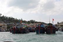 Muỗi nuôi ở Nha Trang ức chế sự phát triển của vi rút Zika