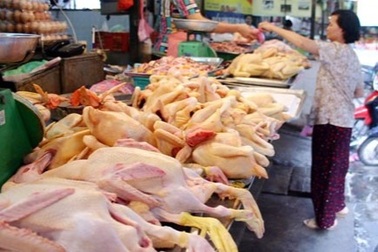 Khóc thét khi mua thực phẩm online: Đặt gà ta nhận gà đông lạnh