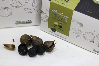 Tỏi đen Prana: Khai thác nguồn nguyên liệu quý bằng công nghệ Nhật Bản